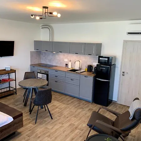 C16 דירה מיקולוב